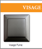 Visage Füme