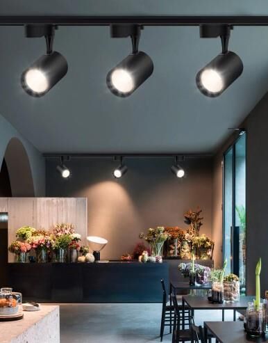 Ledli Ray Spot Siyah Kasa 30 Watt Günışığı 3000K