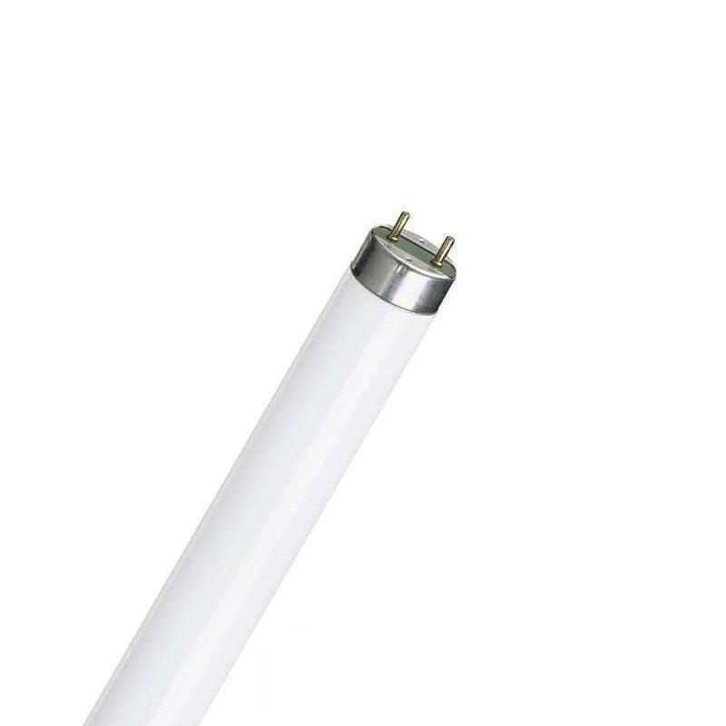 Philips 36W T8 Floresan Ampul 120 cm Snowwhite Kar Beyazı Işık – 25 Adet