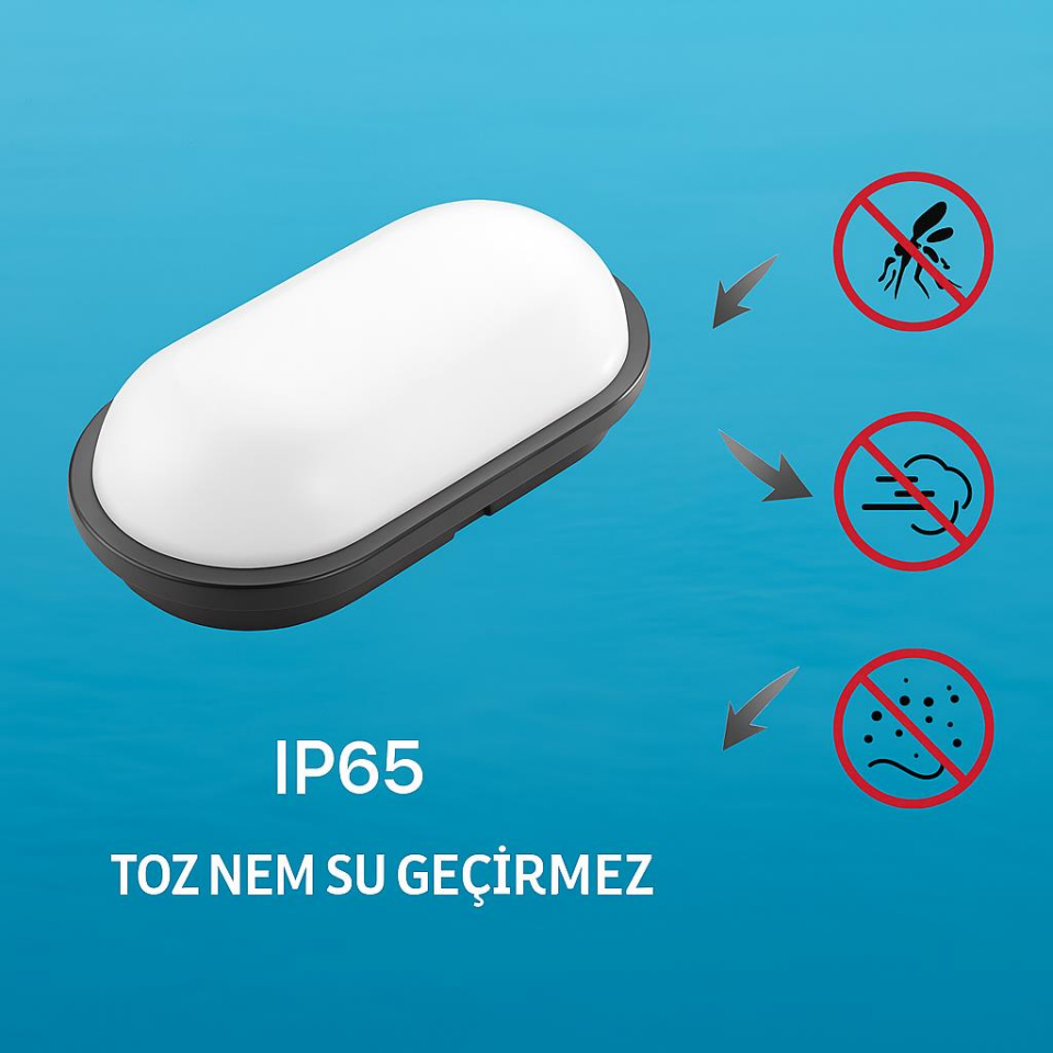 Horoz Aydos 20W Oval Siyah LED Tavan ve Duvar Lambası | 6500K Beyaz Işık | IP65 Su ve Toz Geçirmez Banyo, Bahçe, Garaj Aydınlatma Armatürü