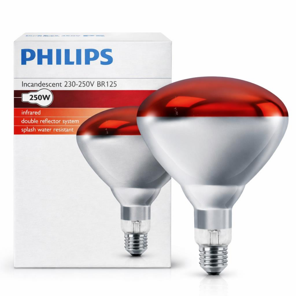 Philips 250W Infrared Isıtma Lambası BR125 E27 Kızılötesi Kırmızı Işık Ampul Hayvan Isıtma & Fizik Tedavi 220V