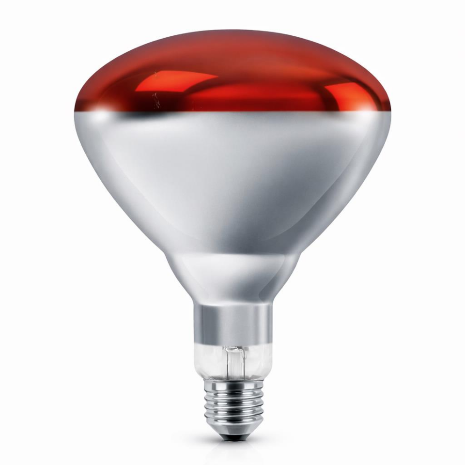 Philips 250W Infrared Isıtma Lambası BR125 E27 Kızılötesi Kırmızı Işık Ampul Hayvan Isıtma & Fizik Tedavi 220V